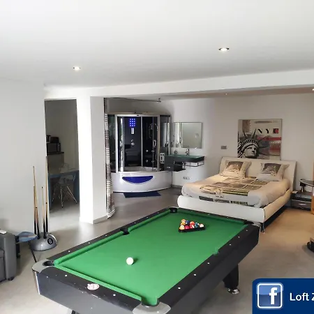 Loft Zen Balneo Parking Gratuit Sauna Hammam Billard * Agen