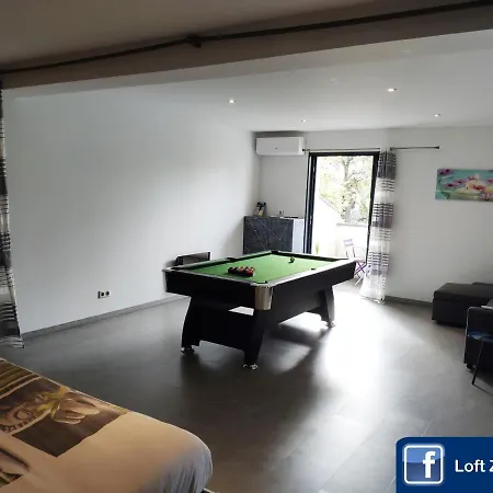 Loft Zen Balneo Parking Gratuit Sauna Hammam Billard Apartment Agen
