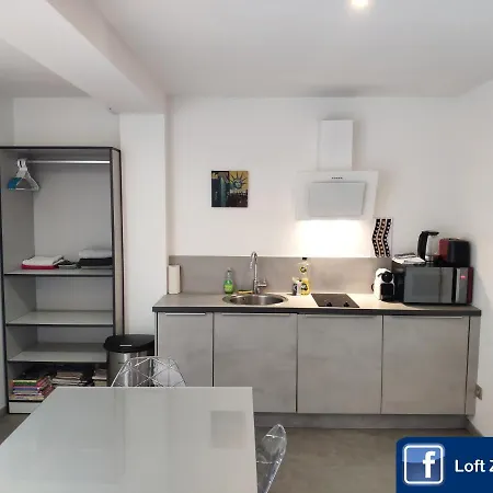 Apartment Loft Zen Balneo Parking Gratuit Sauna Hammam Billard Agen