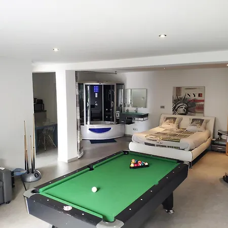 Apartment Loft Zen Balneo Parking Gratuit Sauna Hammam Billard Agen